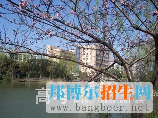 上海民遠職業(yè)技術學院校園一角1163