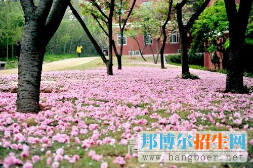 南京特殊教育職業(yè)技術(shù)學院校園美景一2784