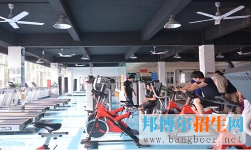 社會(huì)體育