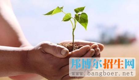 重慶高考2017年7門學科考試內(nèi)容有調(diào)整