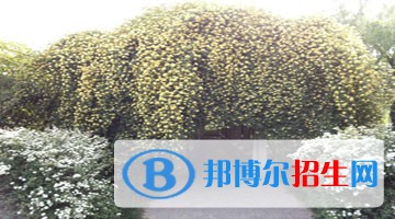 西安東方技術(shù)學(xué)校2018年報名條件、招生對象