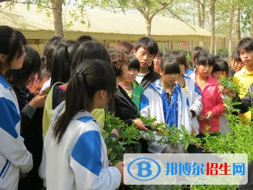 欒城職業(yè)技術(shù)教育中心2018年報(bào)名條件、招生對(duì)象