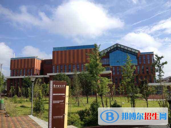 貴州財經(jīng)大學2019年單招錄取分數(shù)線