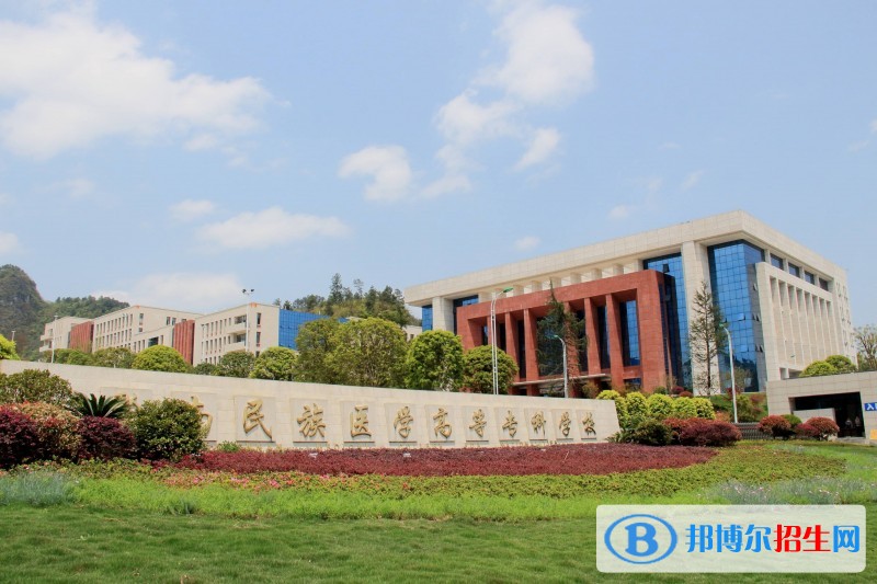 黔南民族醫(yī)學(xué)高等?？茖W(xué)校2019年單招錄取分?jǐn)?shù)線