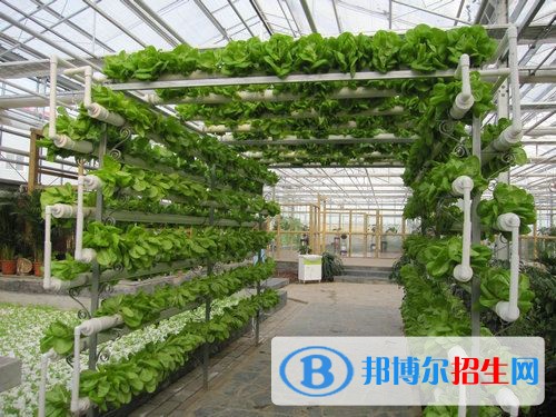 重慶初中中專學(xué)校都有什么專業(yè)