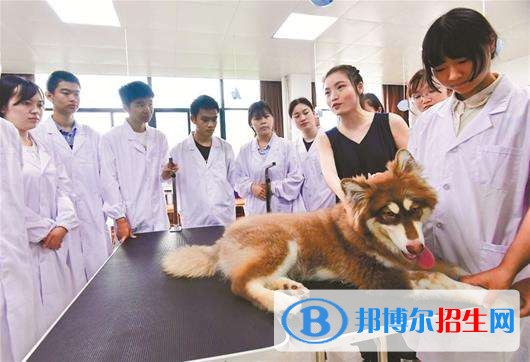 甘肅畜牧工程職業(yè)技術(shù)學院單招報名條件