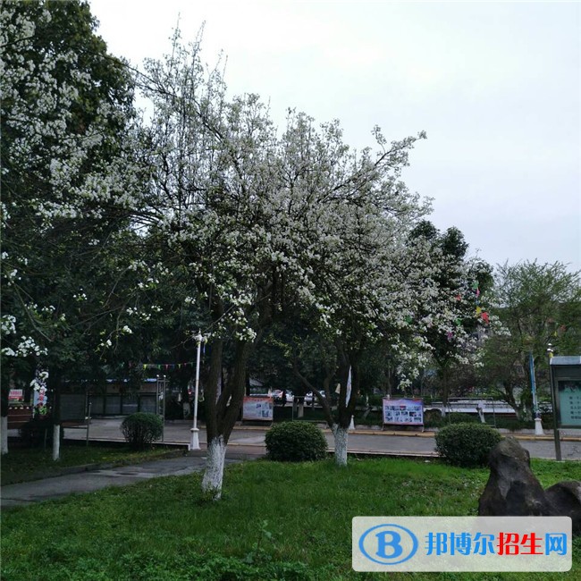 綿陽讀什么中專學(xué)校好