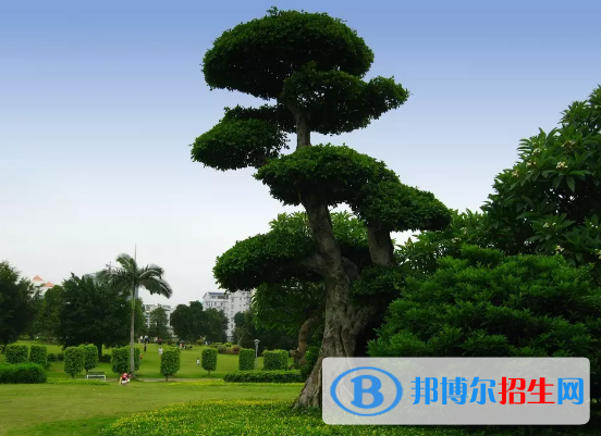 綿陽(yáng)中專(zhuān)學(xué)校都能學(xué)什么
