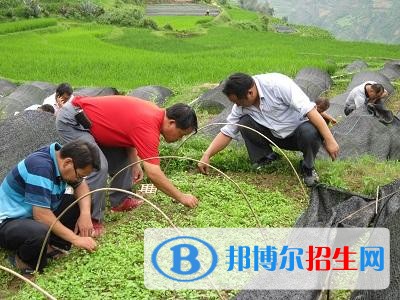 大理中專(zhuān)學(xué)校錄取分?jǐn)?shù)線