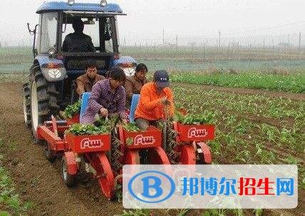 紅河好一點的中專學(xué)校