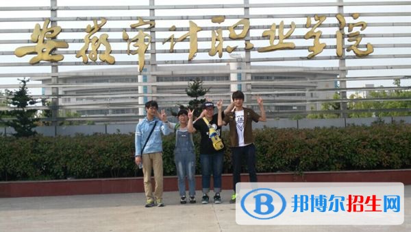 安徽審計職業(yè)學院2019年單招錄取分數線