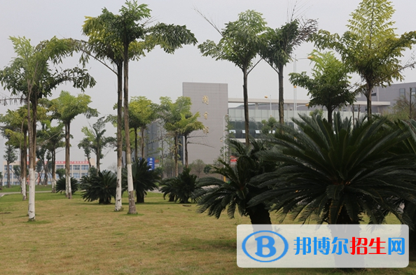 內(nèi)江職業(yè)技術(shù)學(xué)院五年制大專(zhuān)招生計(jì)劃