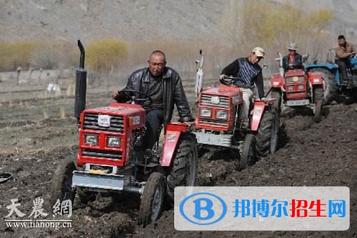 紅河什么中專學(xué)校就業(yè)好