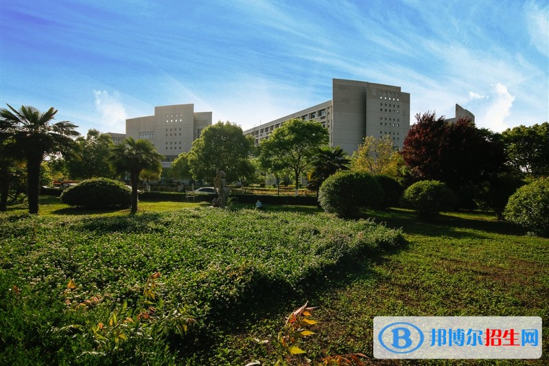 安徽電子信息職業(yè)技術(shù)學院單招報名條件