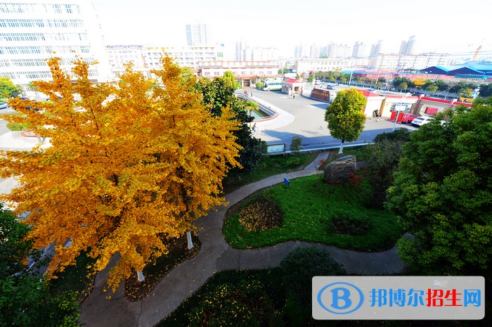安徽礦業(yè)職業(yè)技術(shù)學(xué)院?jiǎn)握袌?bào)名時(shí)間