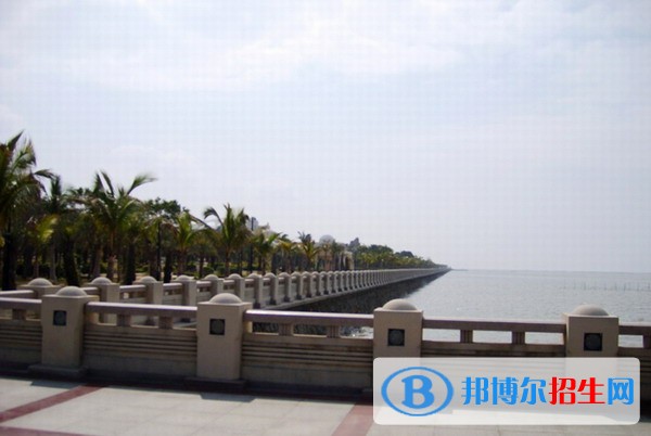 皖北衛(wèi)生職業(yè)學院單招報名時間