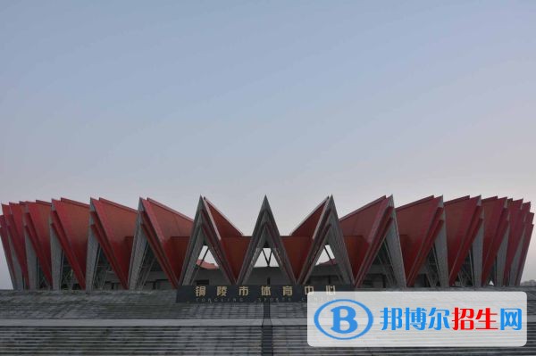 銅陵職業(yè)技術(shù)學(xué)院單招報名條件
