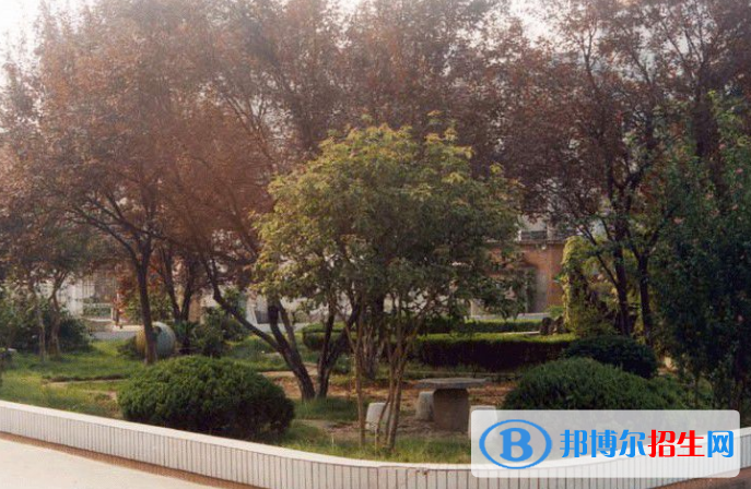 安徽藝術(shù)職業(yè)學(xué)院?jiǎn)握袌?bào)名條件