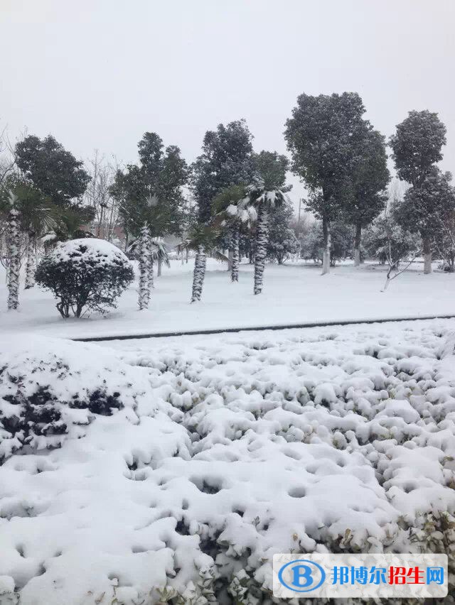 安徽廣播影視職業(yè)技術(shù)學(xué)院單招成績查詢時(shí)間