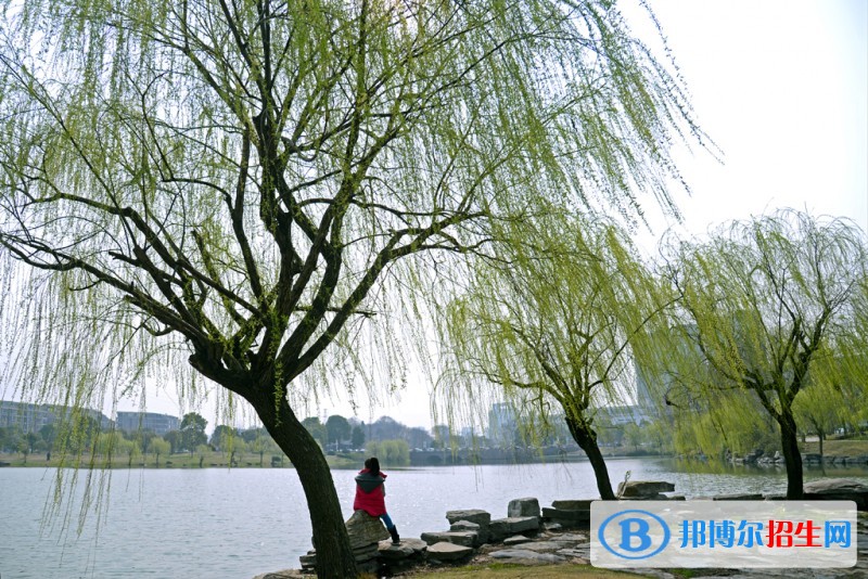 金華職業(yè)技術學院2019年單招錄取分數線