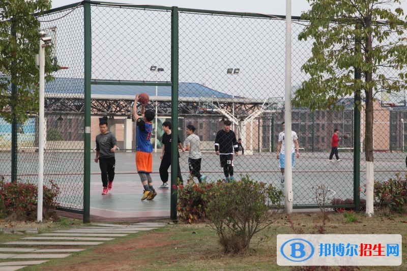 長沙商貿(mào)旅游職業(yè)技術(shù)學(xué)院2019年單招錄取分數(shù)線