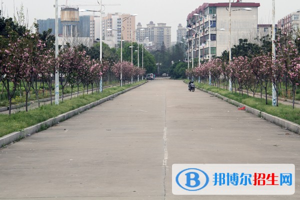 江西農業(yè)工程職業(yè)學院單招簡章