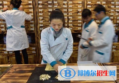 樂山中專學校什么專業(yè)適合女生