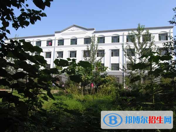 無極縣野風美術中學2019年報名條件、招生對象