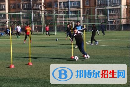 新疆體育職業(yè)技術(shù)學(xué)院單招2019年單獨(dú)招生報(bào)名條件、招生要求、招生對象