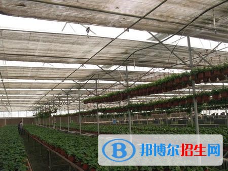 新疆生產(chǎn)建設(shè)兵團興新職業(yè)技術(shù)學(xué)院單招2019年單獨招生錄取分?jǐn)?shù)線