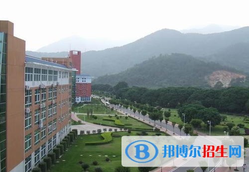 福州科技職業(yè)技術(shù)學(xué)院單招2019年單獨(dú)招生錄取分?jǐn)?shù)線