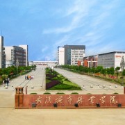 武漢城市職業(yè)學(xué)院五年制大專