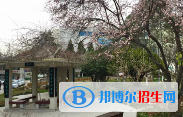 成縣職業(yè)中等專(zhuān)業(yè)學(xué)校2020年報(bào)名條件、招生要求、招生對(duì)象
