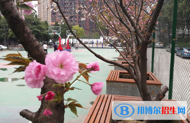 湖北廣播電視學(xué)校3
