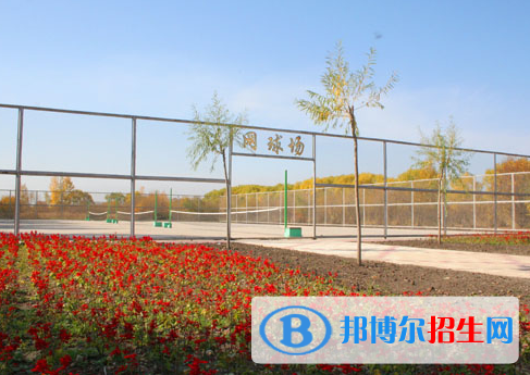 鶴崗師范高等?？茖W(xué)校單招2020年單獨(dú)招生報名時間、網(wǎng)址入口  