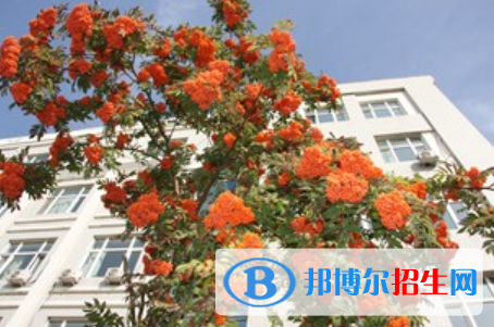 黑龍江生態(tài)工程職業(yè)學(xué)院單招2020年單獨招生報名時間、網(wǎng)址入口