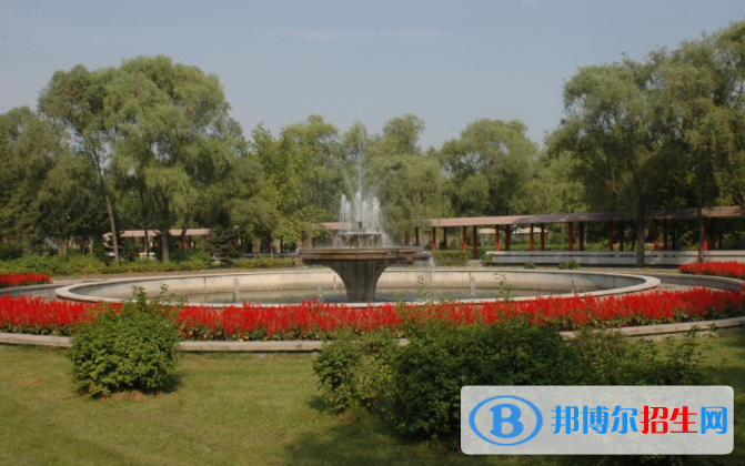 大慶職業(yè)學院單招2020年單獨招生報名時間、網(wǎng)址入口
