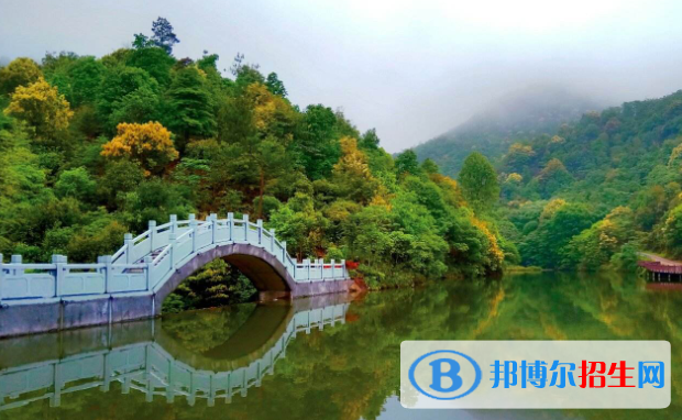 大余職業(yè)技術(shù)教育中心2020年有哪些專(zhuān)業(yè)
