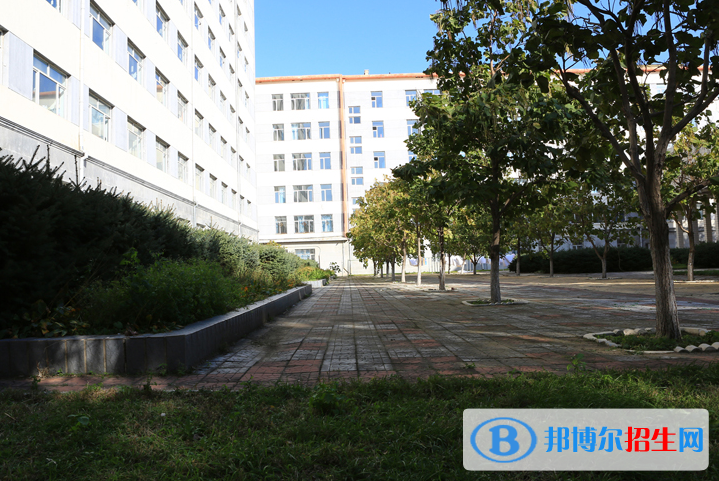 黑龍江護(hù)理高等?？茖W(xué)校單招2020年單獨招生報名時間、網(wǎng)址入口