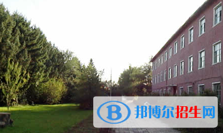 黑龍江三江美術(shù)職業(yè)學(xué)院單招2020年單獨招生成績查詢、網(wǎng)址入口