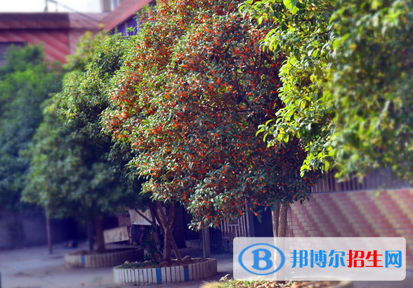 贛州育才職業(yè)中等專(zhuān)業(yè)學(xué)校2020年招生簡(jiǎn)章