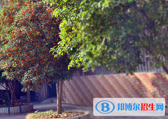 贛州育才職業(yè)中等專業(yè)學(xué)校2020年報(bào)名條件、招生要求、招生對(duì)象