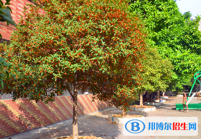 贛州育才職業(yè)中等專業(yè)學(xué)校網(wǎng)站網(wǎng)址