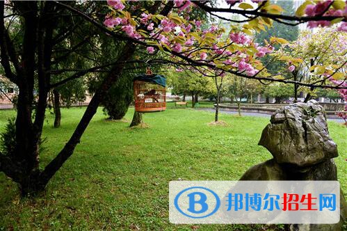 貴州林業(yè)學(xué)校2020年報(bào)名條件、招生要求、招生對象