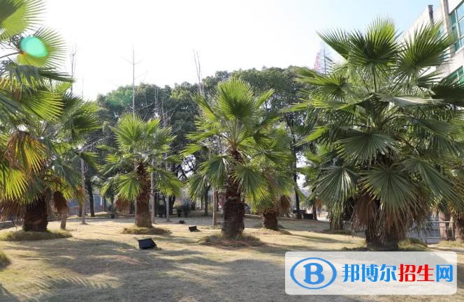 義烏國際商貿(mào)學校網(wǎng)址網(wǎng)站
