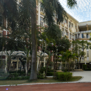廣東碧桂園(IB國際)學校小學部