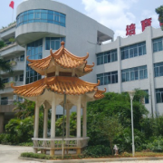 東莞電子商貿學校