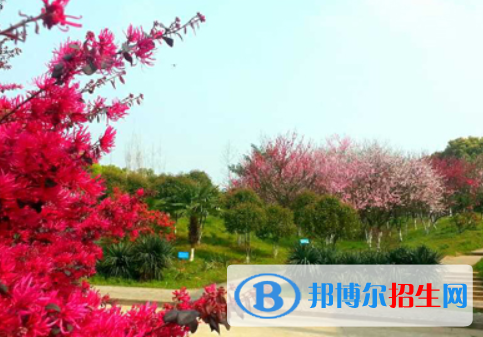 江西醫(yī)藥學(xué)校2020年招生簡(jiǎn)章