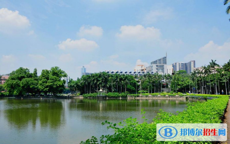 麻城宋埠職業(yè)高級中學(xué)網(wǎng)站網(wǎng)址