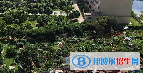 廣西工商技師學(xué)院2020年報(bào)名條件、招生要求、招生對(duì)象 